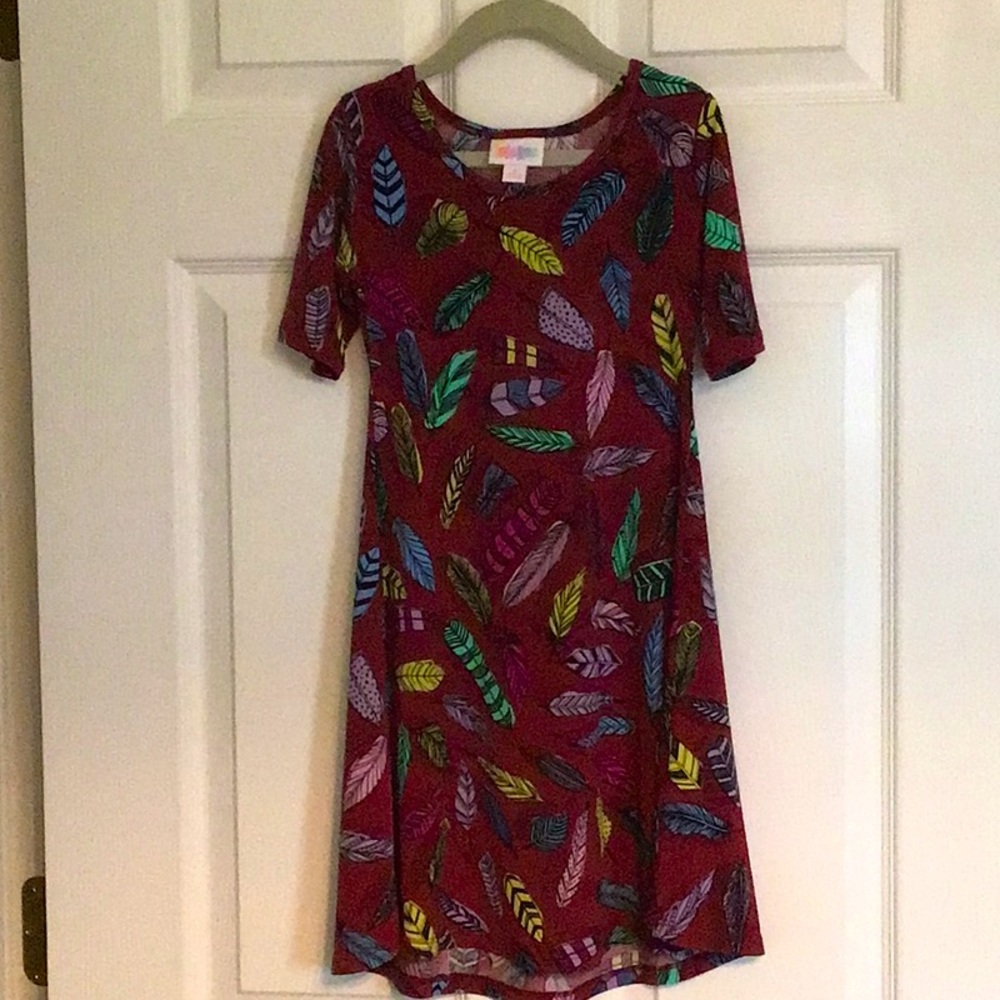 Girls LuLaRoe dress